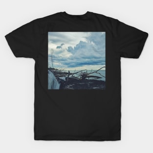 Fallen Trees by The Ocean T-Shirt